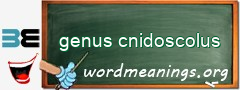 WordMeaning blackboard for genus cnidoscolus